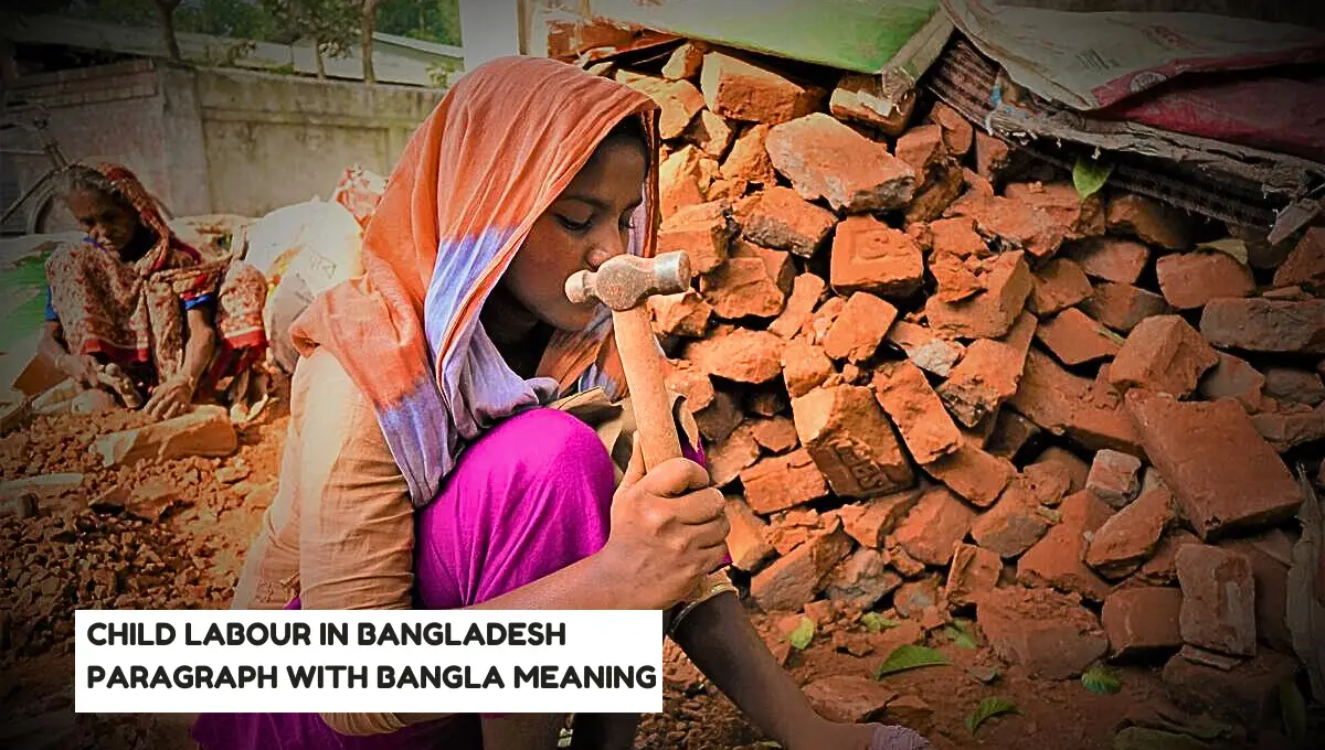 child labour in bangladesh essay