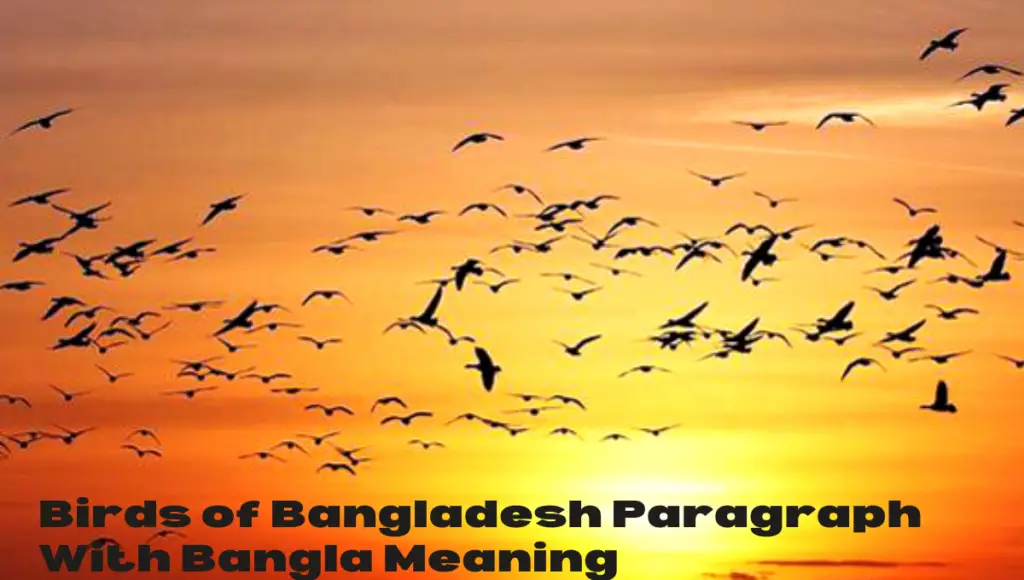 Birds of Bangladesh Paragraph With Bangla Meaning